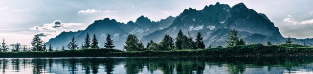 daylight environment forest idyllic